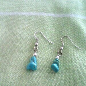 Pair of Turquoise Earrings